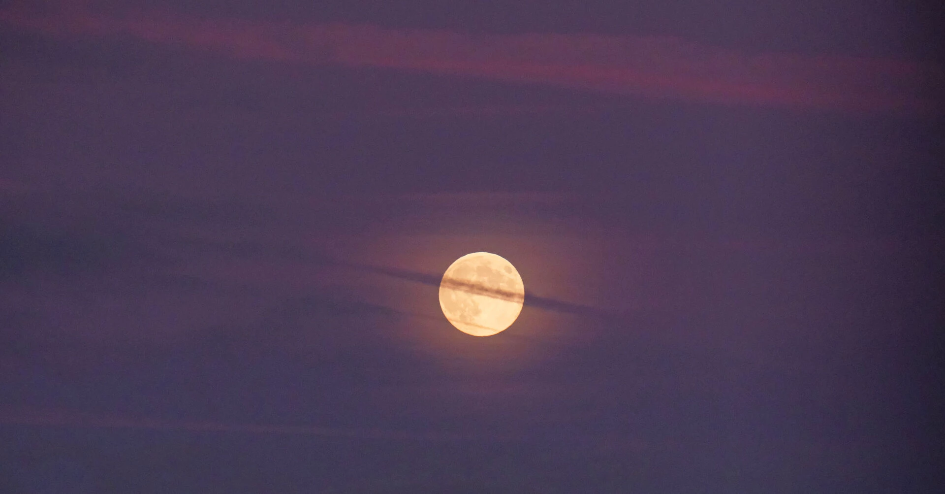  misty moon f6941