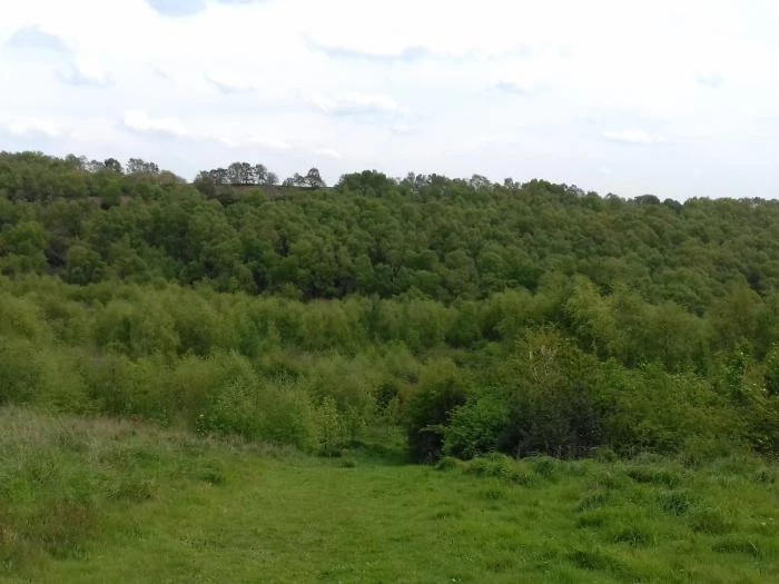 20170430132052 snidley moor from woodhouse hill new woodland