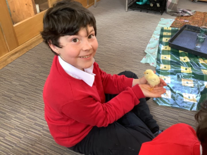 2152e0f965a74a4d9ba06e6fe1605a2a