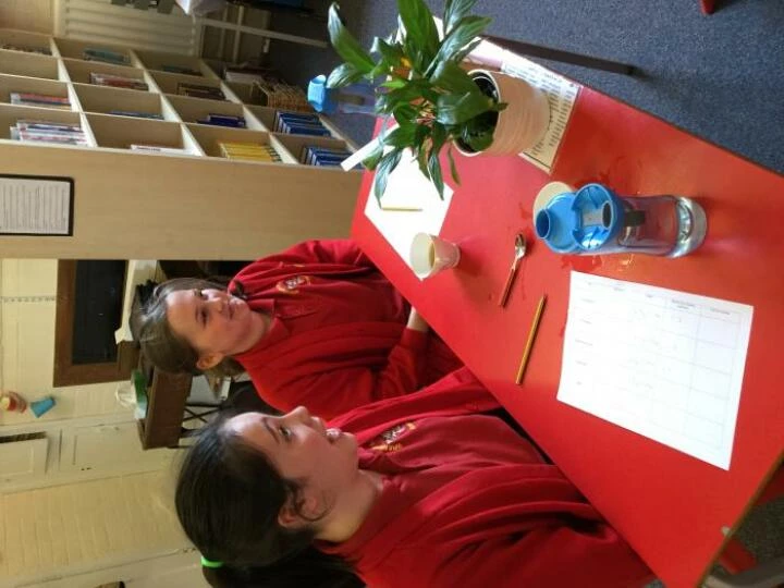 24795bc6b5a7446b8b47e6f70364a54c