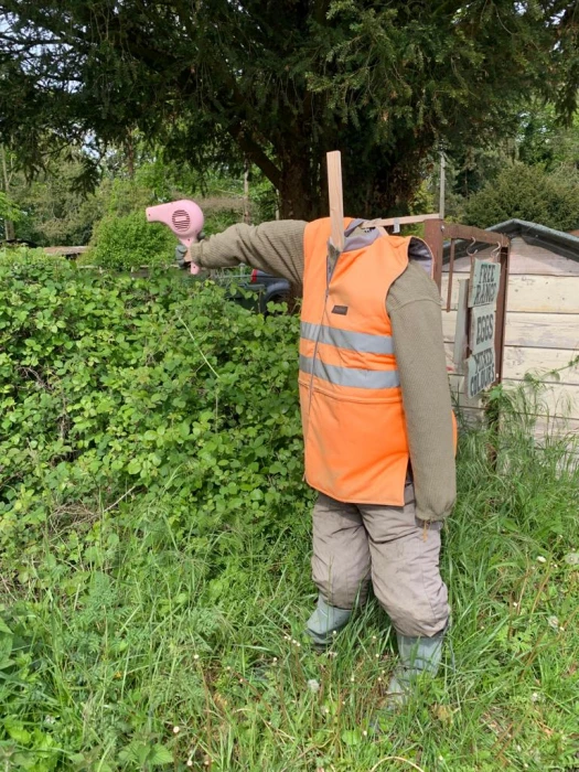 28 may  norfolk  speed check