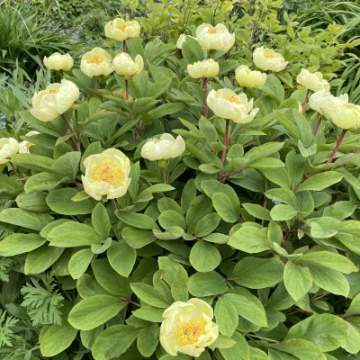 7194f2abd7204a8085e830cc596eb9a6