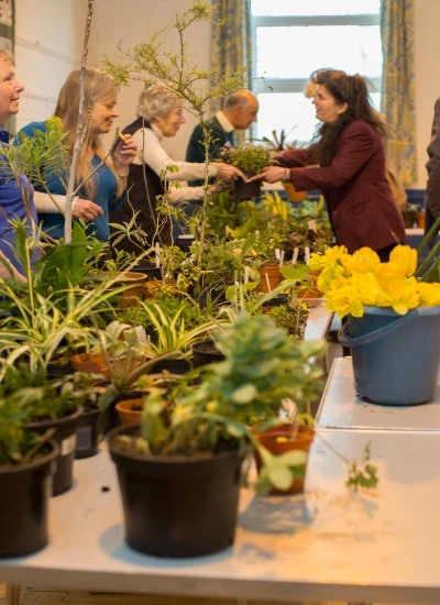 a plant stall also