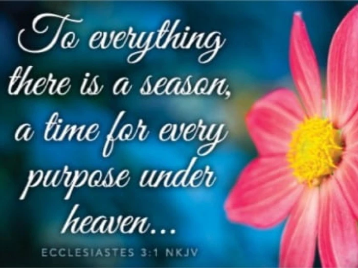 a time to live a time to die