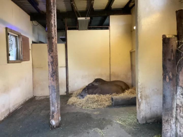 a5d3021ad6b146fc83e54550c91fa7ba