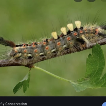 a898a1a08a4049dc970de457c8a21e45