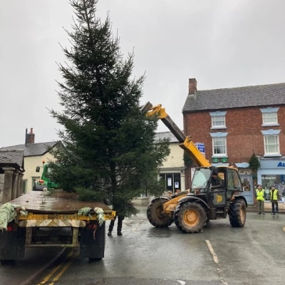 adas 1 tree arrives