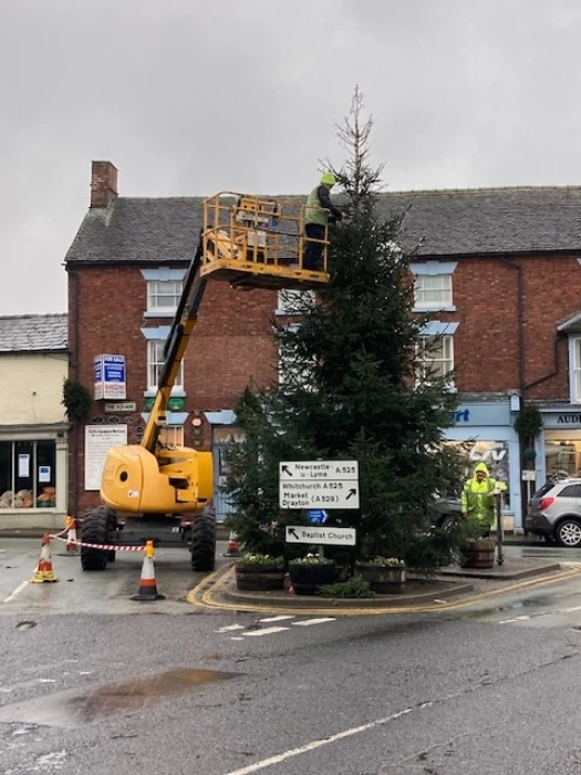 adas tree erecting