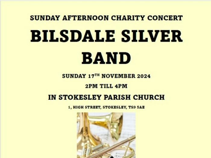 afternoon charity concert 17th november 2024