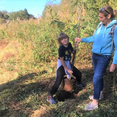 alfie  ali planting a tree
