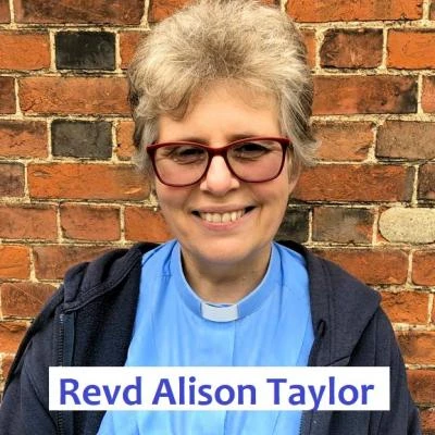 alison taylor  web