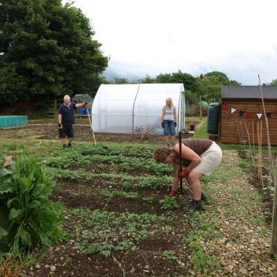 allotments-5-during-open-gardens-12th-june-2016