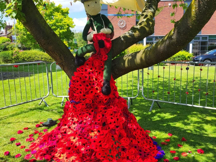 alsager dday poppies