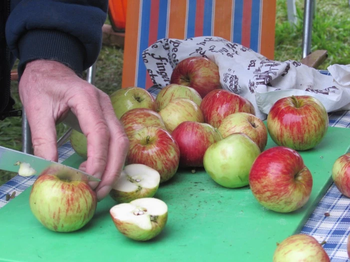 apple pressing 1 2015