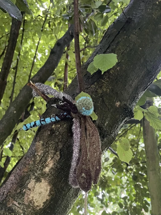 art trail 24
