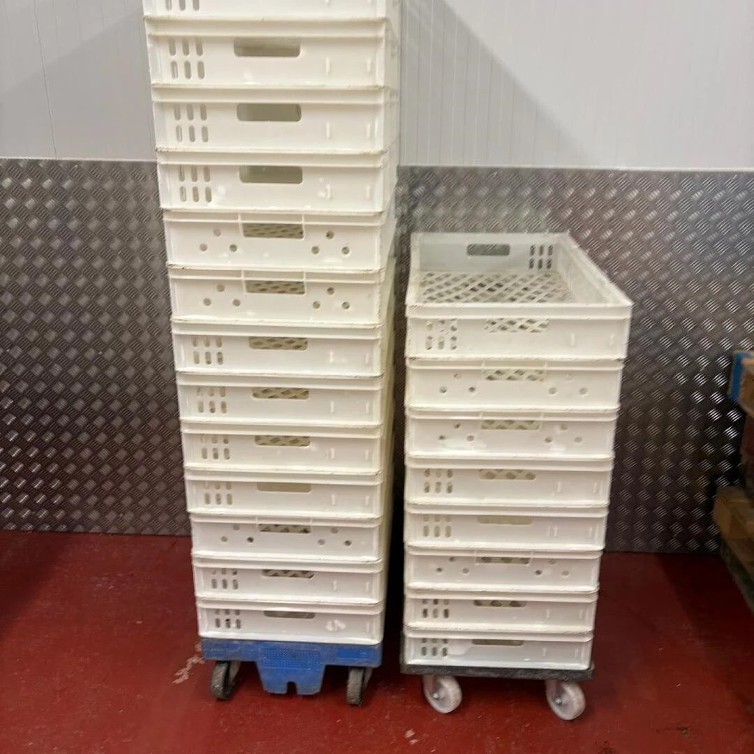 bak tray 4