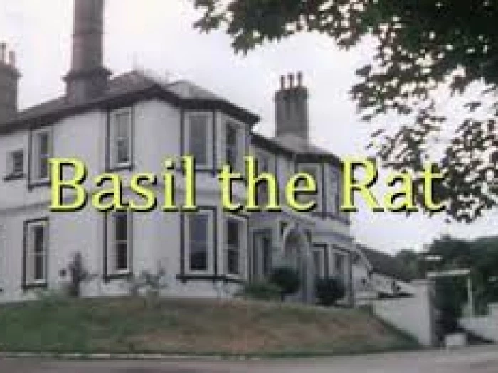 basil-the-rat