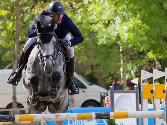 bbss equestrianimage