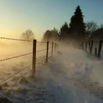 beastfromtheeast21