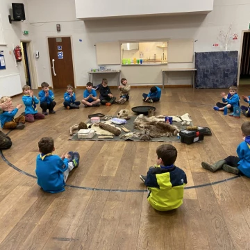beavers