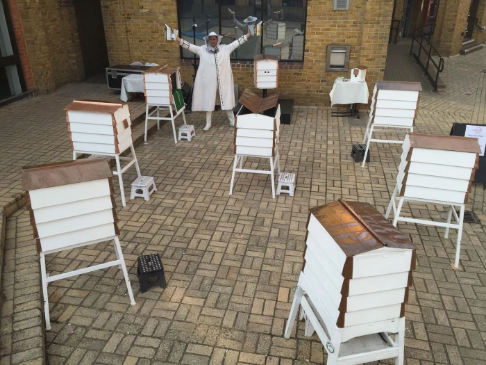 bee hives image for creative champions piece