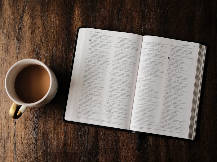 bible study t steele