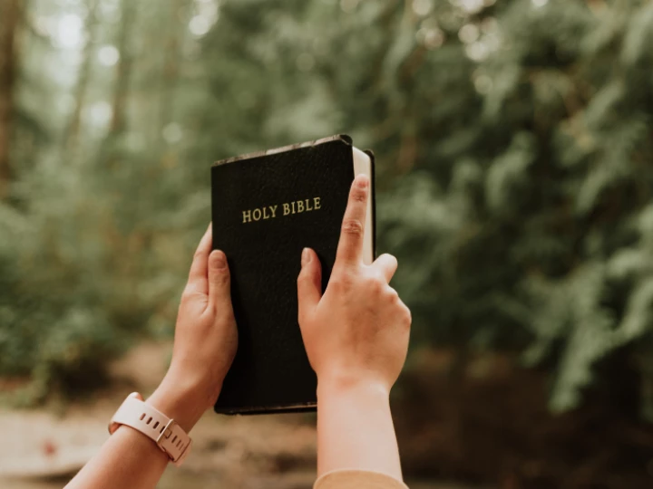 bible