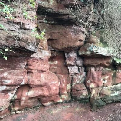 bickerton hill cropped