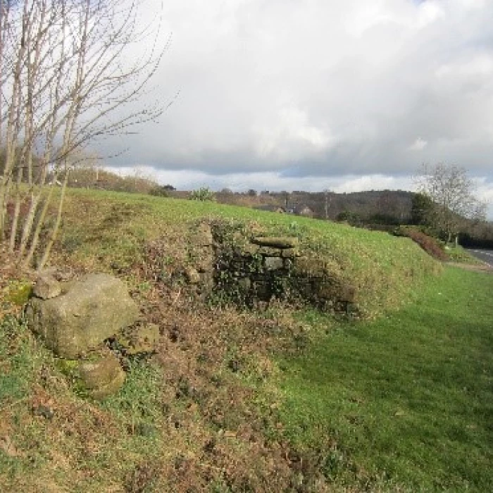 bickerton pinfold