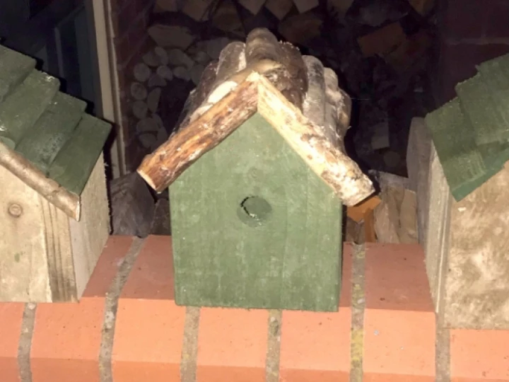 birdboximage0092