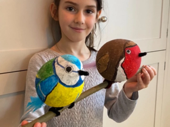 birds