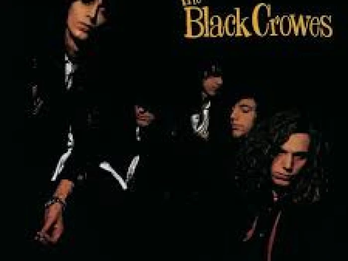 black crowes