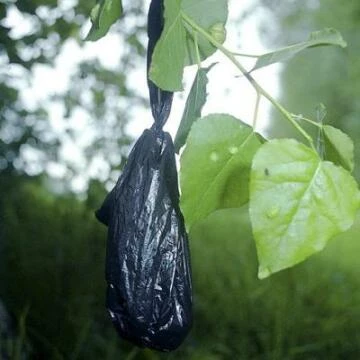 blackbaghangingm239991