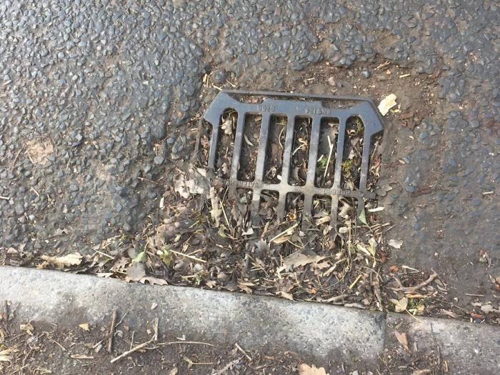 blocked gulleys