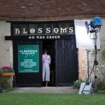 blossoms on the green