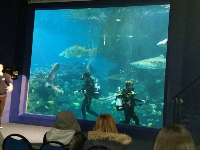blue planet 3