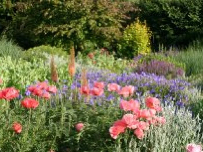 bluebell cottage gardensheader