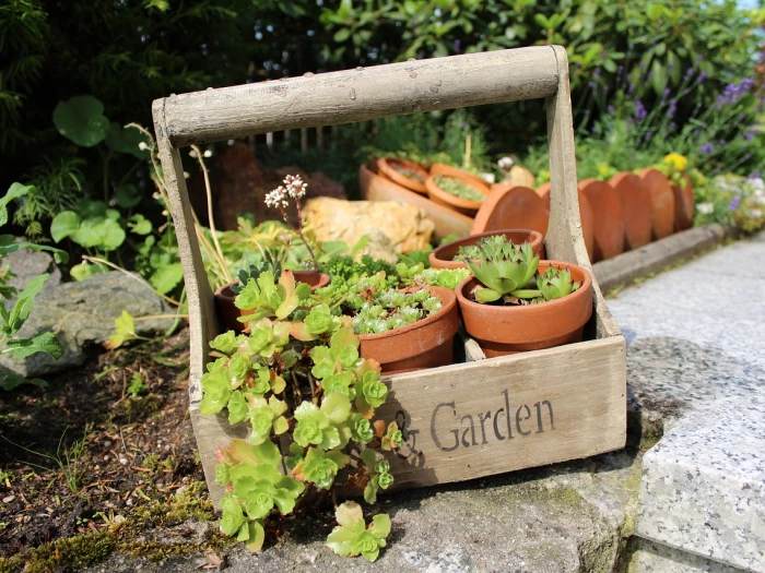 Wooden basket, nature, garden