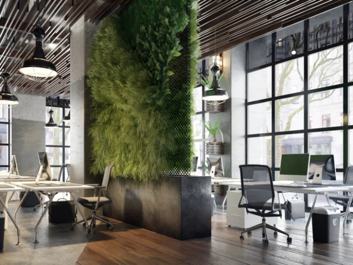 Open plan office with large windows and green plants