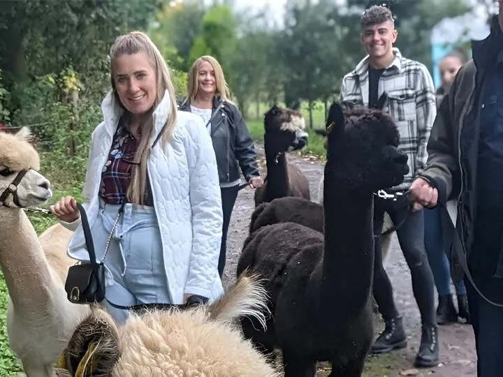 Alpaca Walk Talk 6