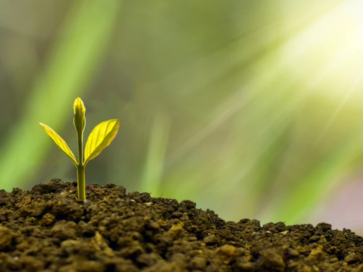 Investment, concept, business