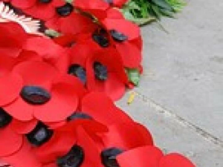 Poppies