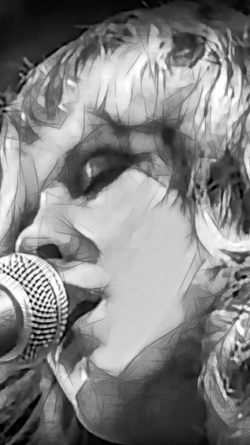 Stevie