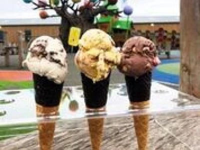 Ice Cream farm jpg