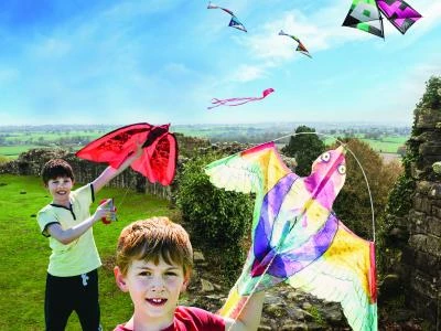 Beeston Kite Festival
