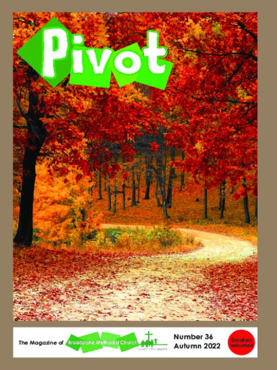 Pivot 36