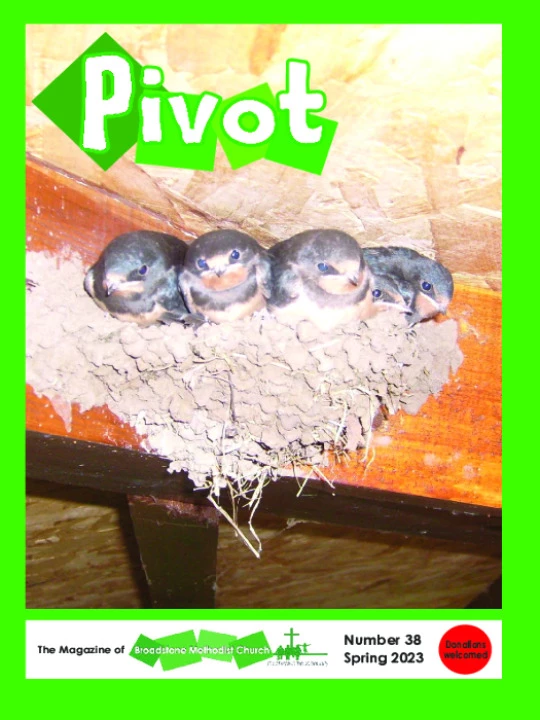 Pivot 38