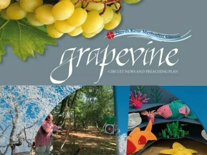 Winter Grapevine Newsletter