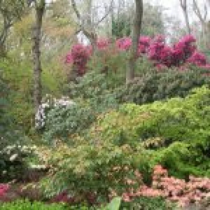 20060509 0031