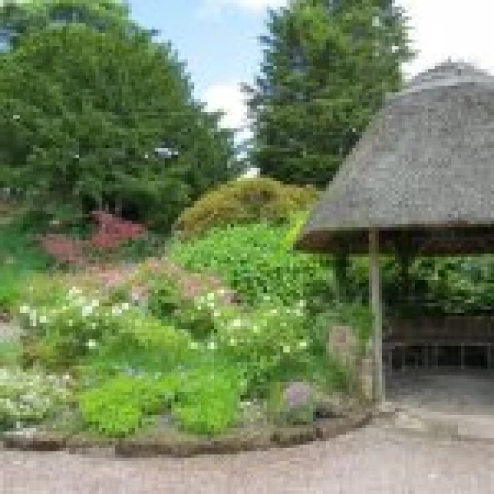 Ness Gardens jpg37